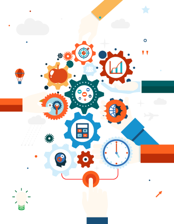 Our Working Process